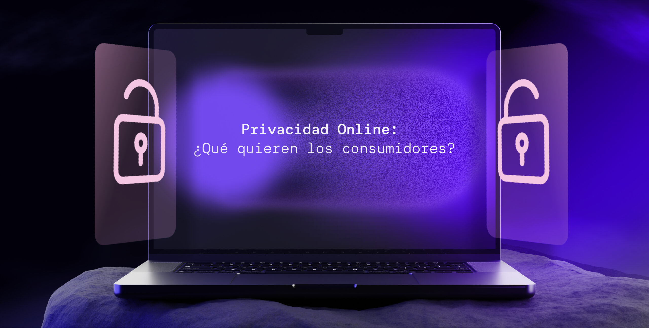 Privacidad Online: ¿Qué Quieren los Consumidores?